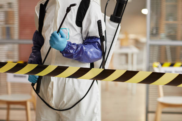 Professional Sewage Cleanup technician working in Sussex, WI